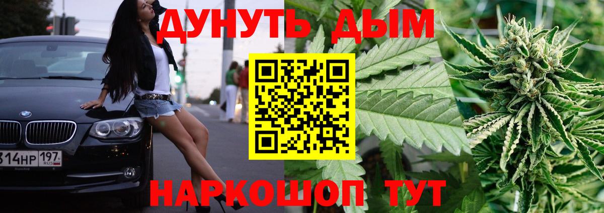 Канабис семена Тосно